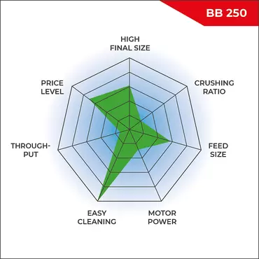 Performance radar chart BB 250